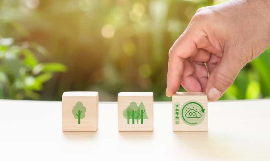 Consultant evaluating an organization’s environmental management system for ISO 14001 compliance.